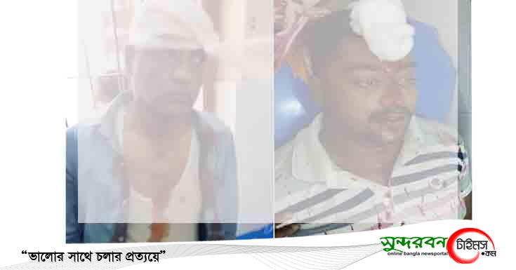 তালায় পৈত্রিক সম্পত্তি জবর দখলের চেষ্টায় হামলা, আহত ৩