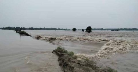 পাইকগাছায় বাঁধ ভেঙে লোকালয়ে পানি, ফসলের ব্যাপক ক্ষয়ক্ষতি