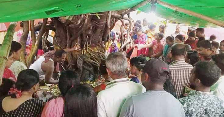 সাতক্ষীরায় অনুষ্ঠিত হল সনাতন ধর্মাবলম্বীদের মনসা ও বিশ্বকর্মা পূজা