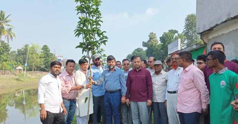 সাতক্ষীরা প্রেস উদ্যানে বৃক্ষরোপন কর্মসূচি উদ্বোধন